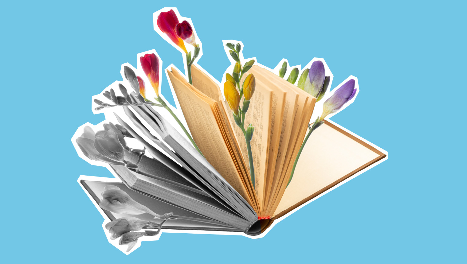Collage image of a book with flowers growing out of it