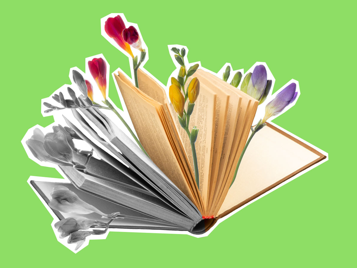 Book with flowers growing out of it